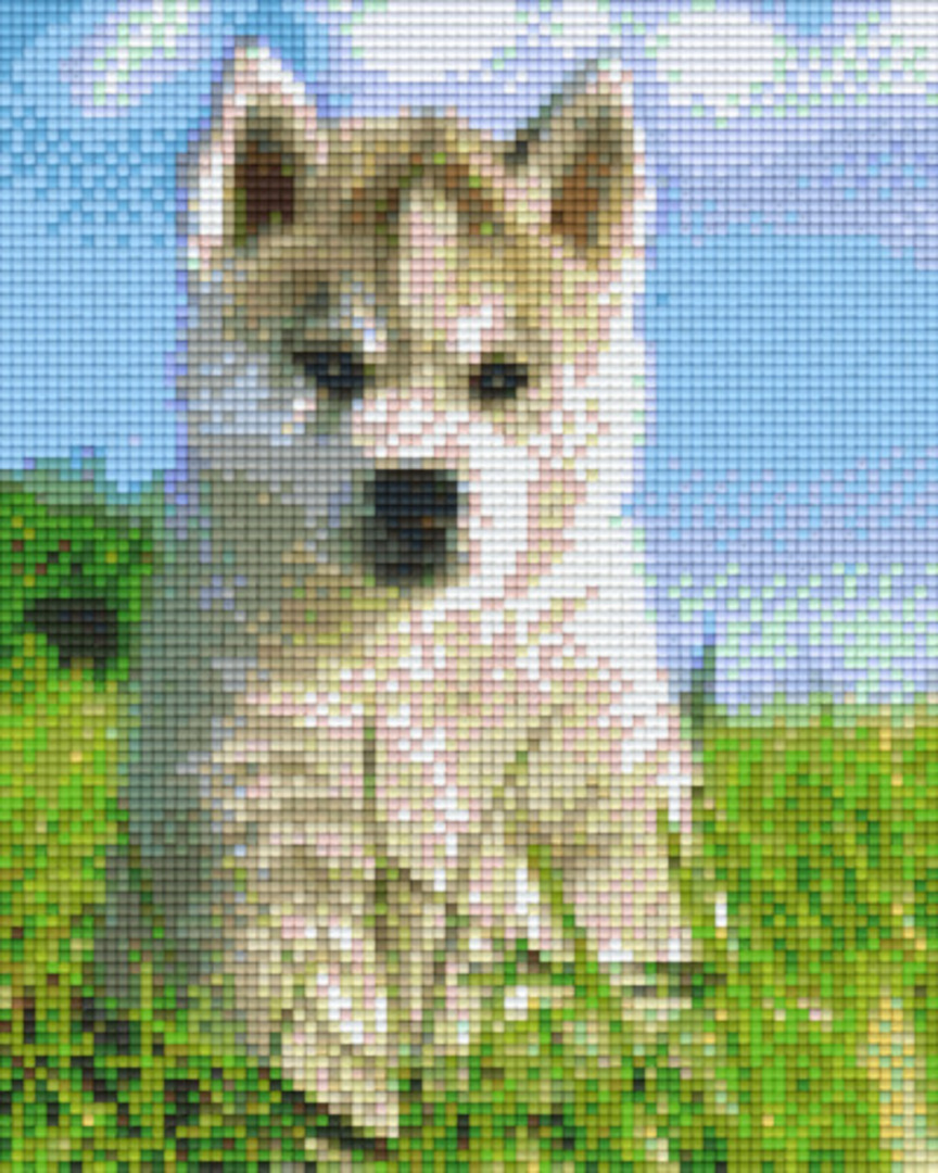 Baby Husky Four [4] Baseplate PixelHobby Mini-mosaic Art Kit image 0